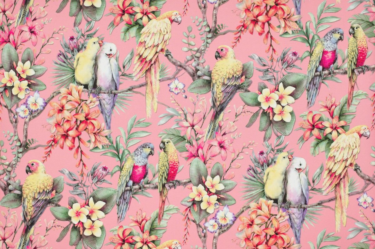 Lavender blush попугаи 10166-02