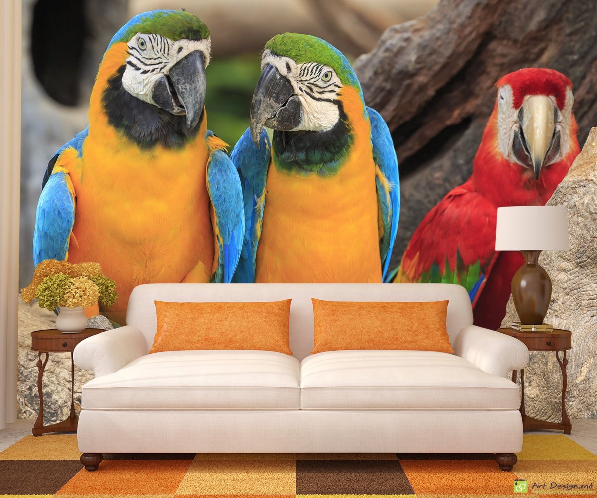 Фотообои с попугаями для стен
