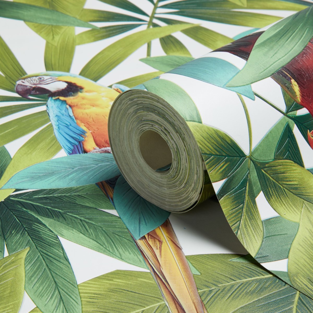 Фотообои с попугаями для стен