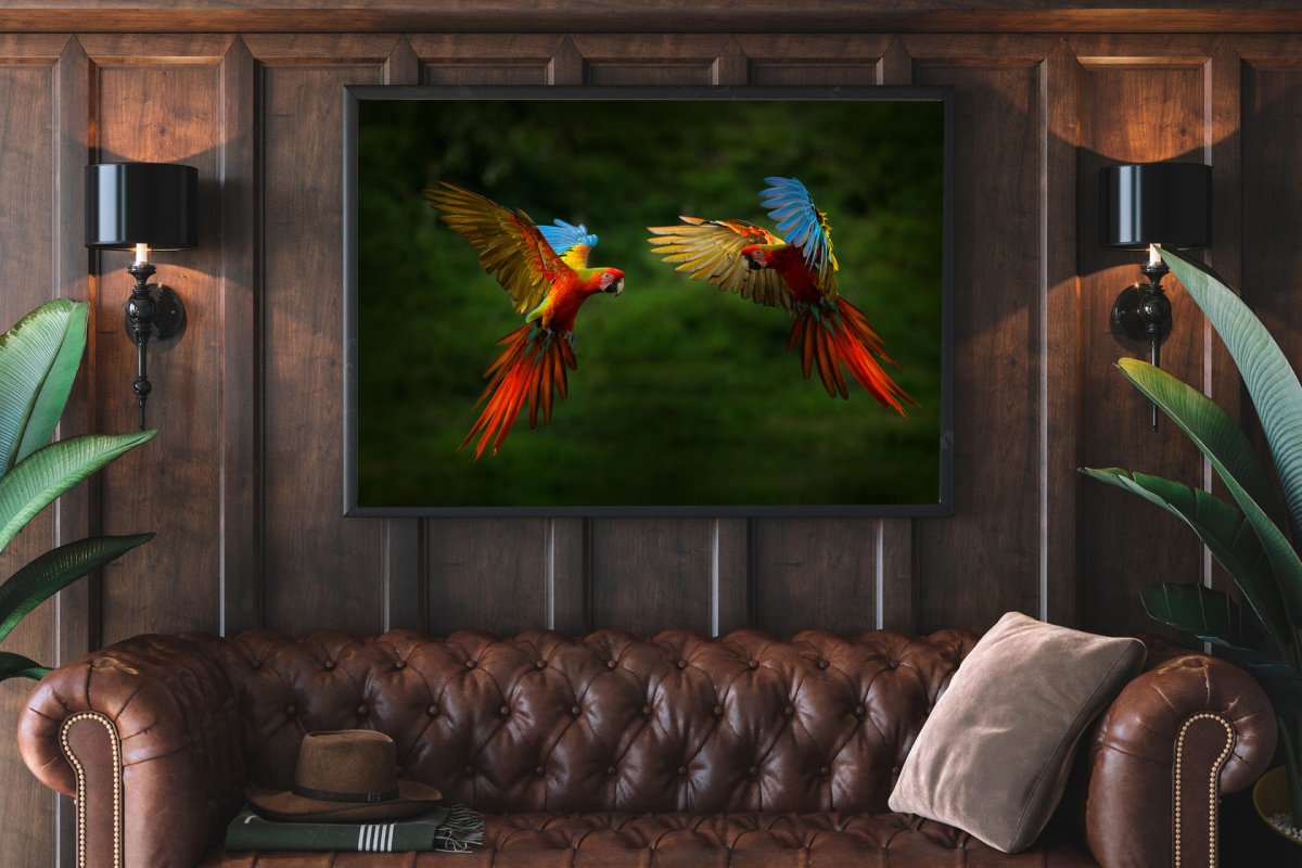 Обои с попугаями в интерьере