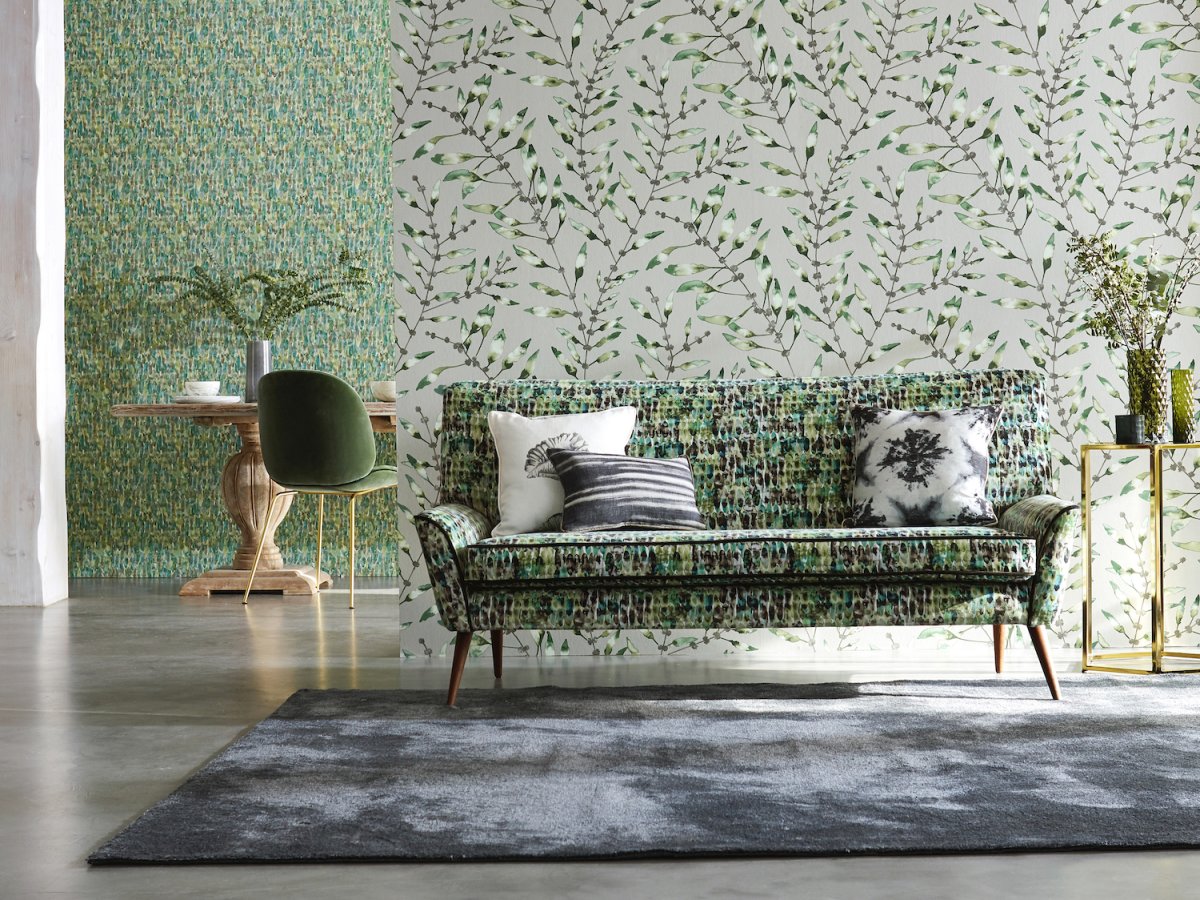 Harlequin Anthozoa 111633