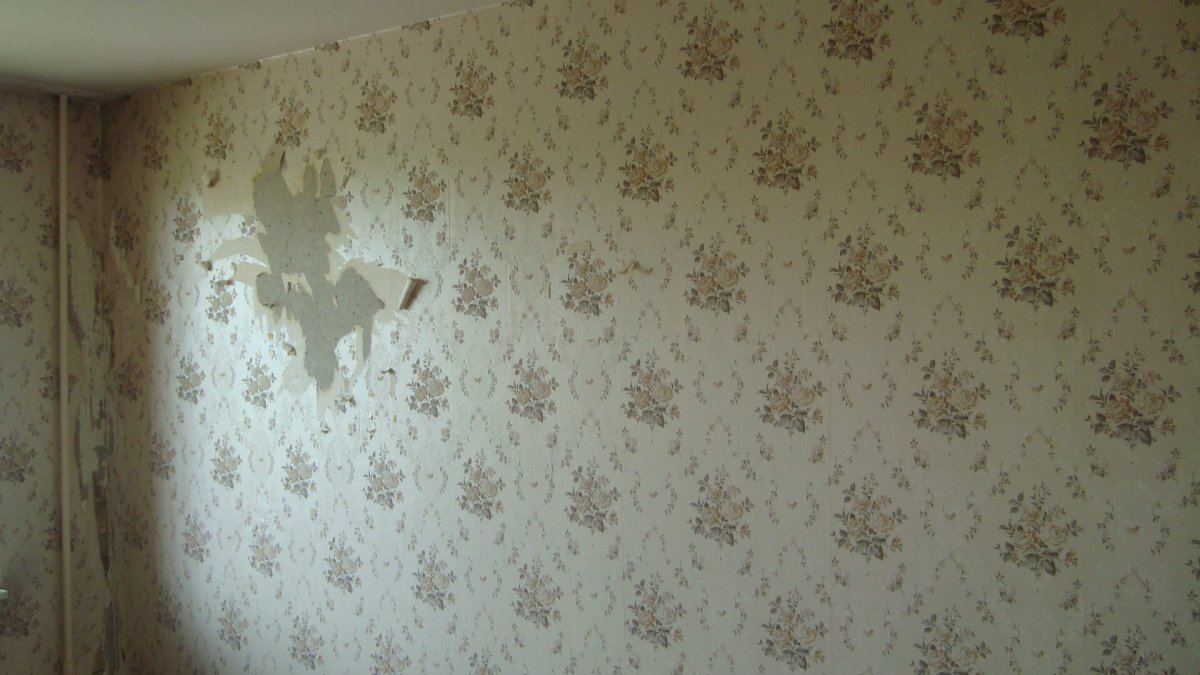 Квартира с ободранными обоями