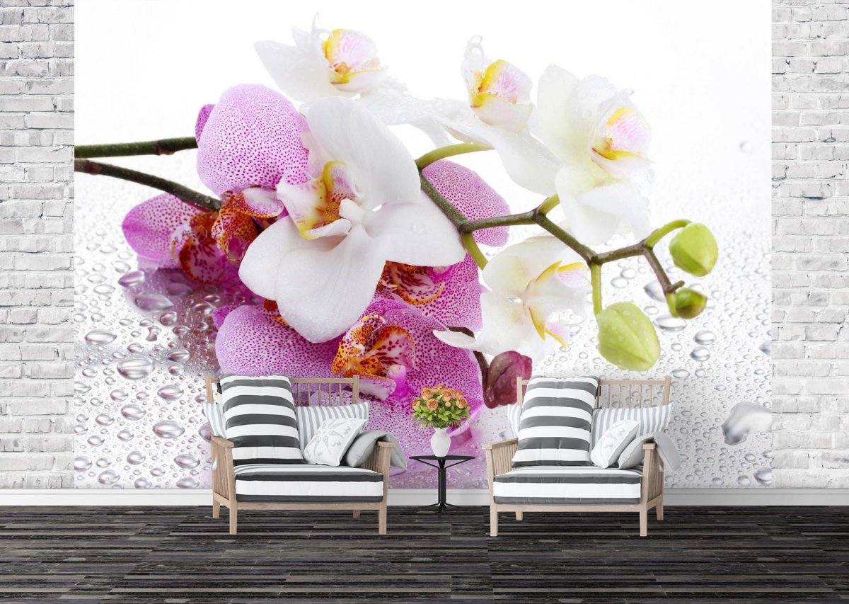 Фотообои орхидеи в интерьере кухни