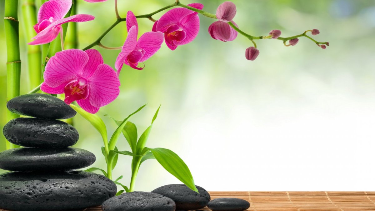 Спальня в японском стиле 12кв