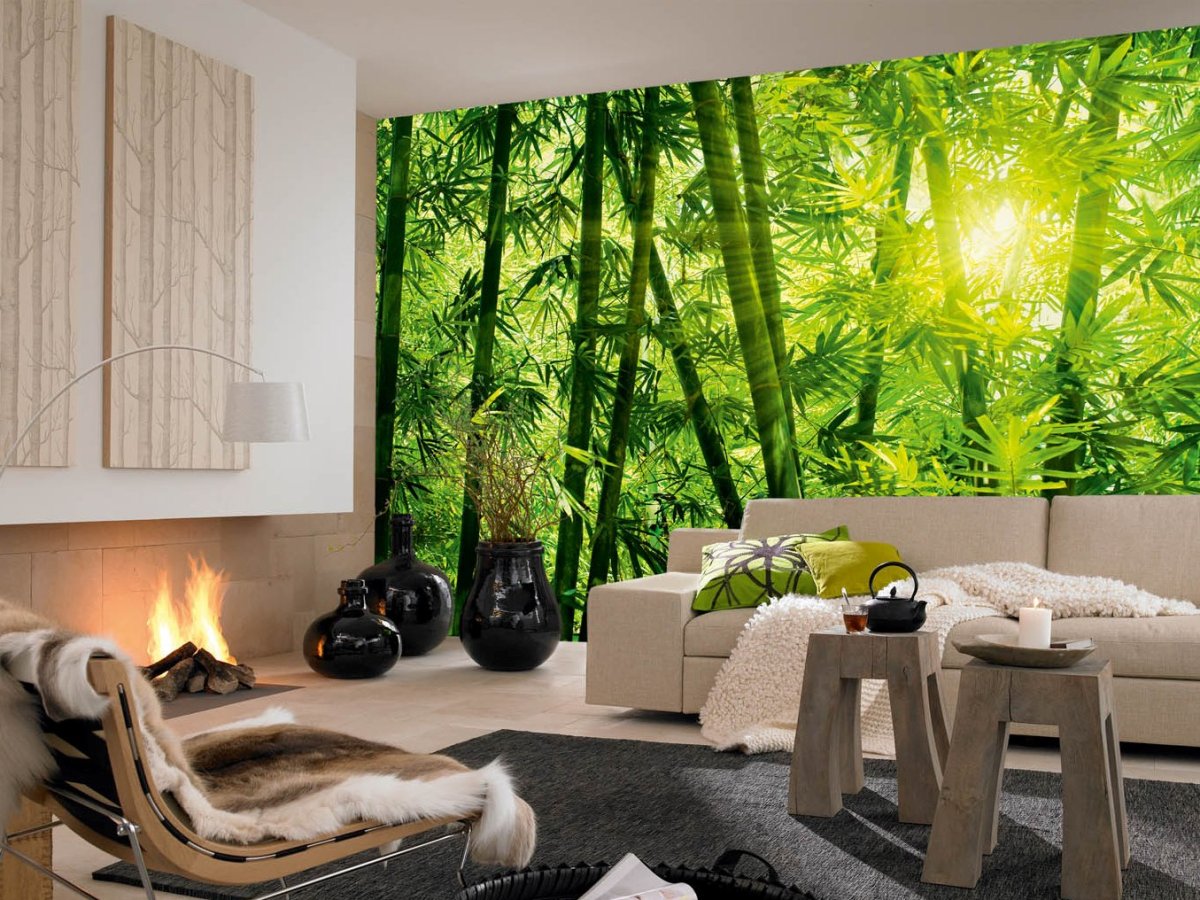 Красивые фотообои на стену