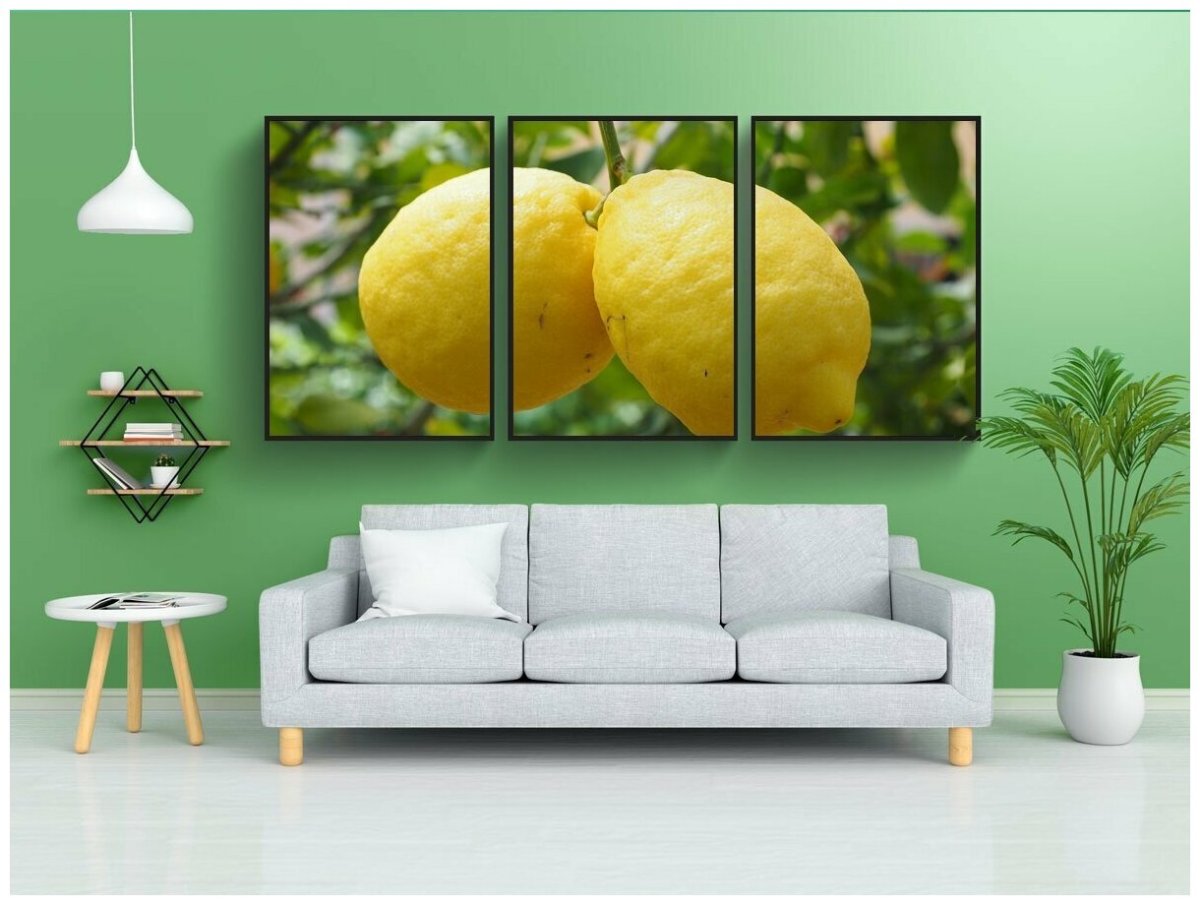 Обои с апельсинами для кухни