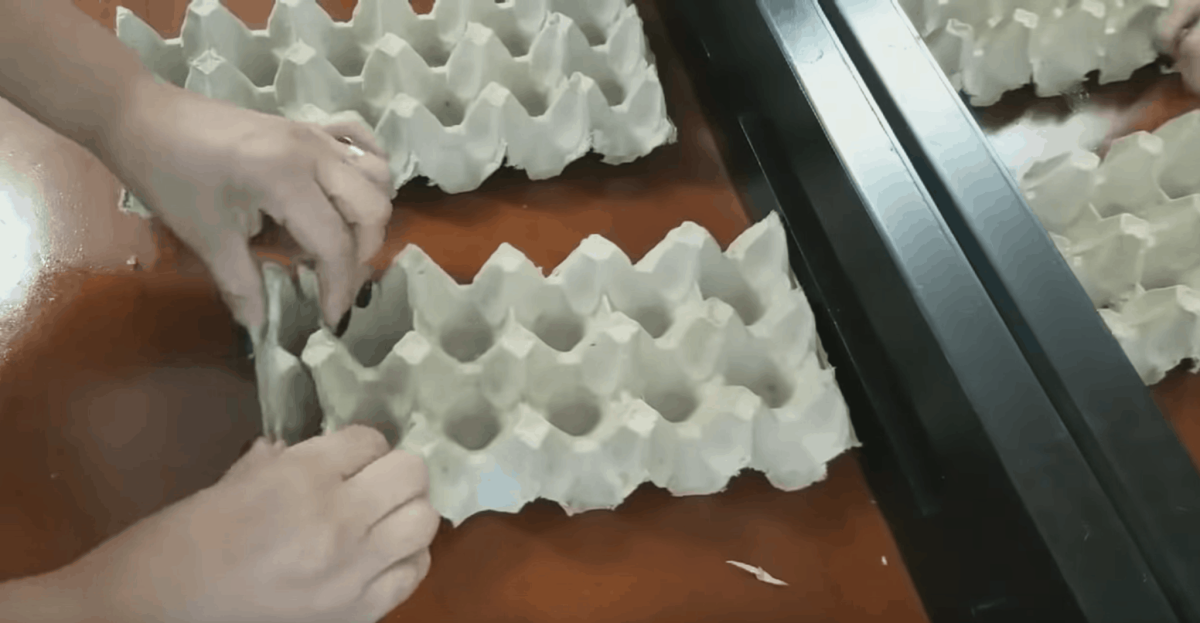Поделки из яичных лотков