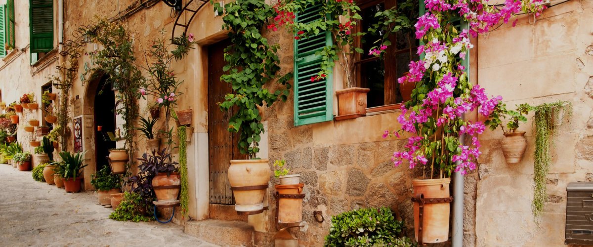 For Wall partner улочки 1339v8