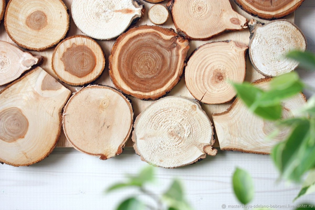 Стена из деревянных спилов