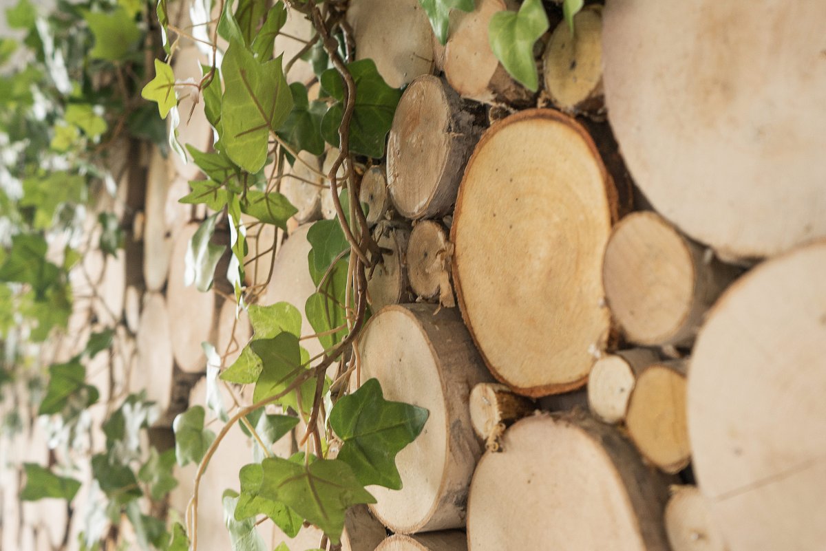 Варианты отделки стен спилами дерева