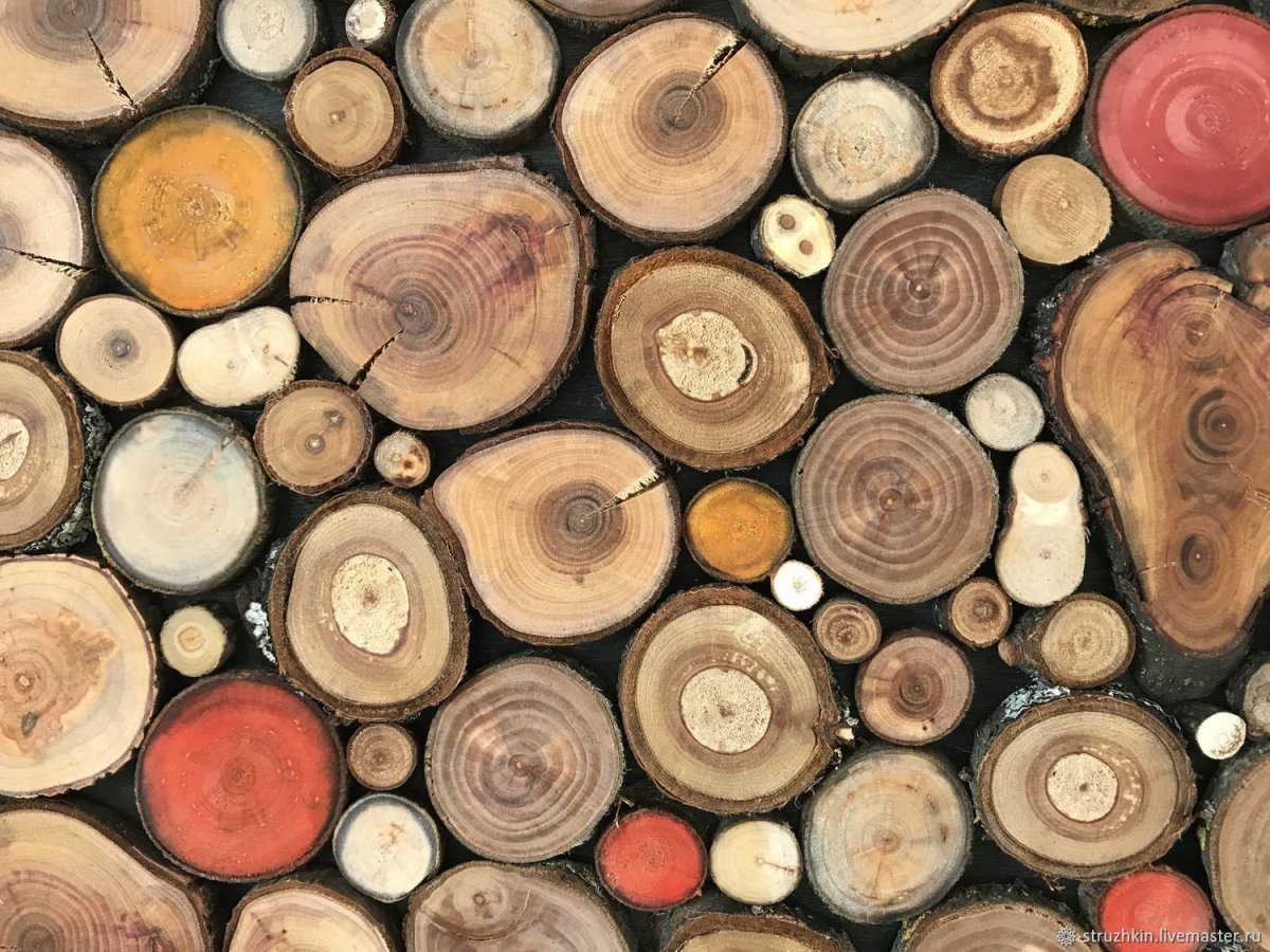 Спилы дерева в интерьере