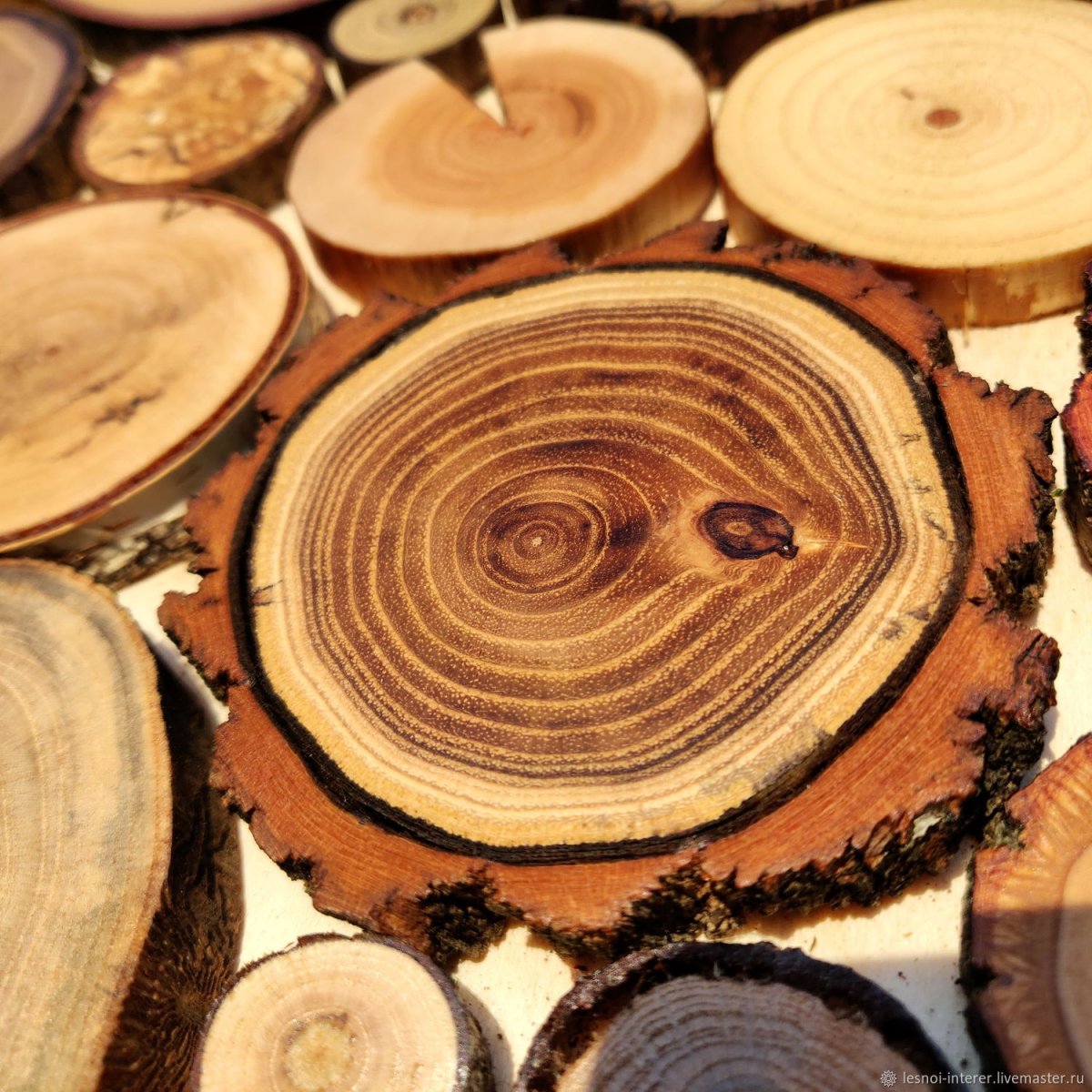 Отделка стен в комнате отдыха