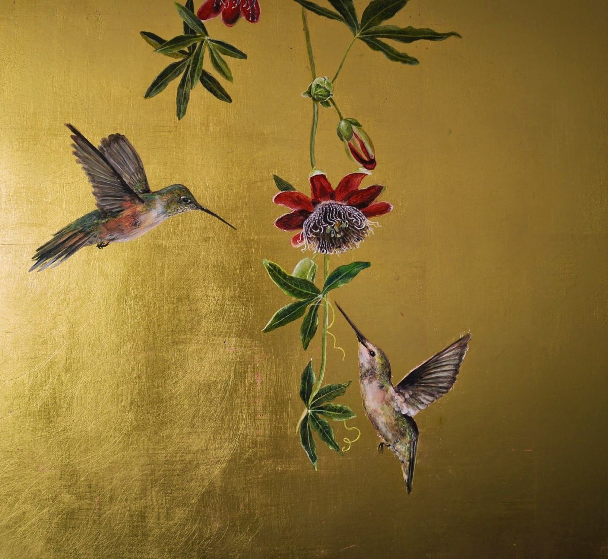 Обои Колибри в интерьере