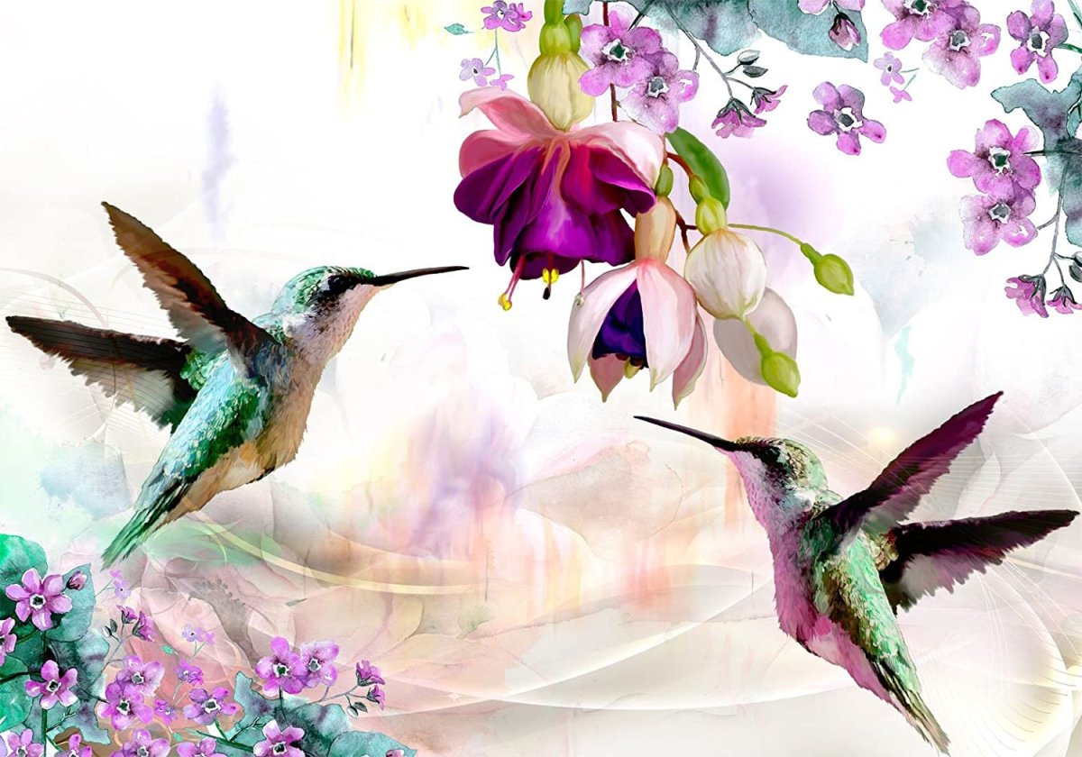 Роспись стен Колибри