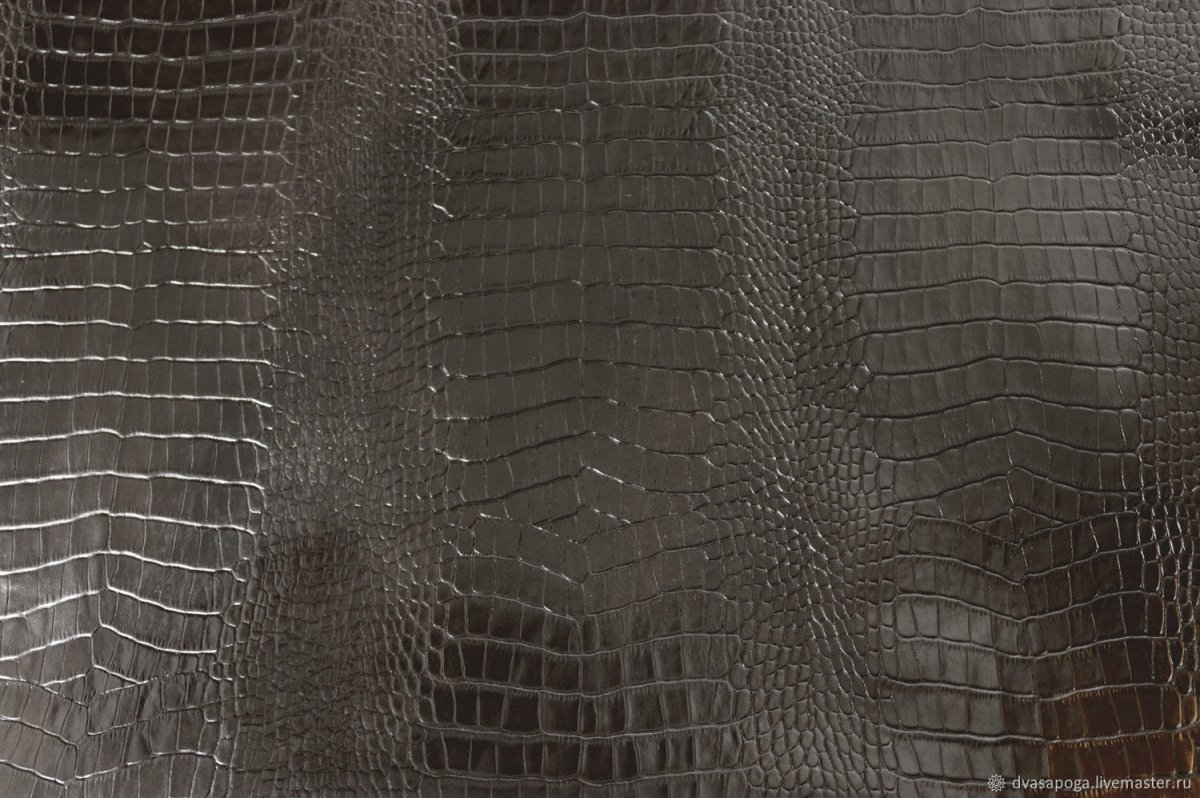 Натуральная кожа крокодила