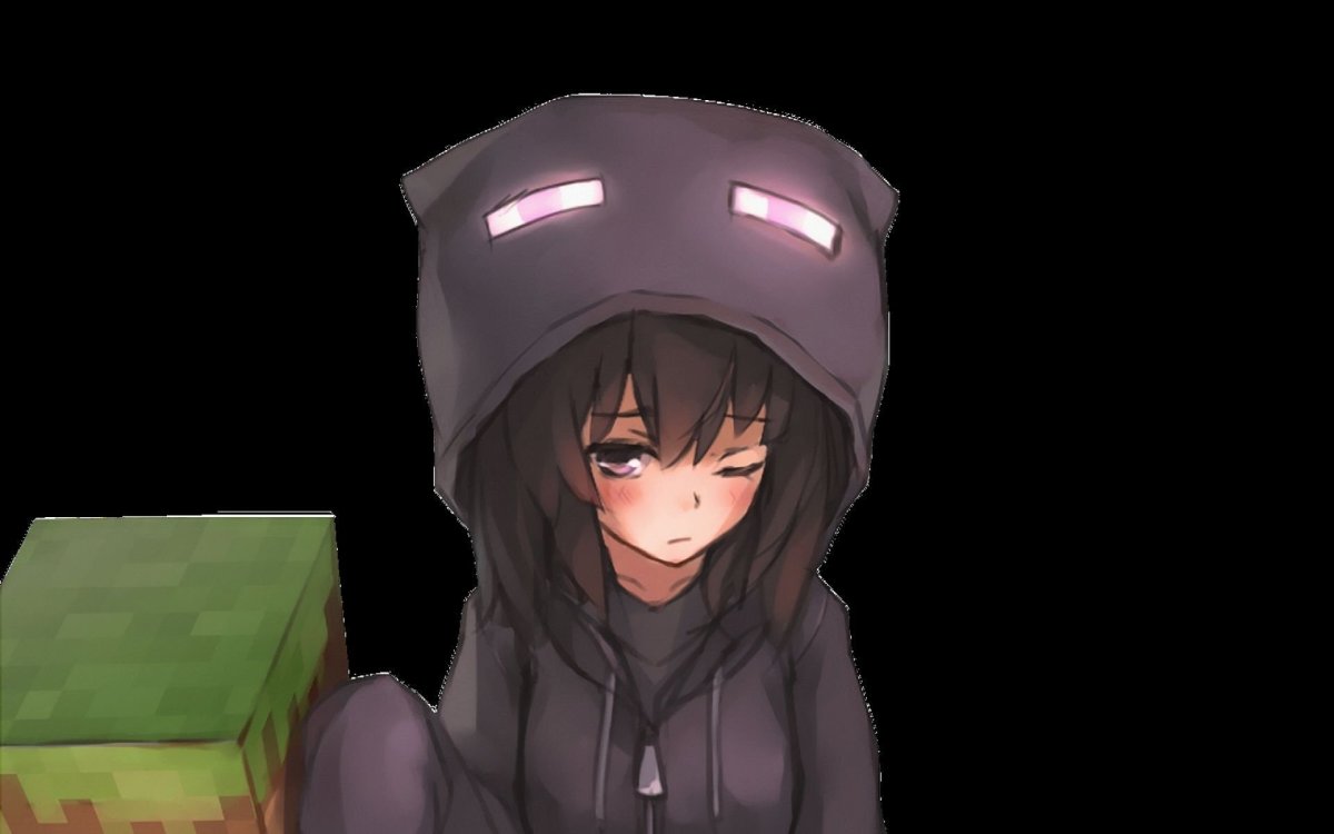 Майнкрафт девочка геймер