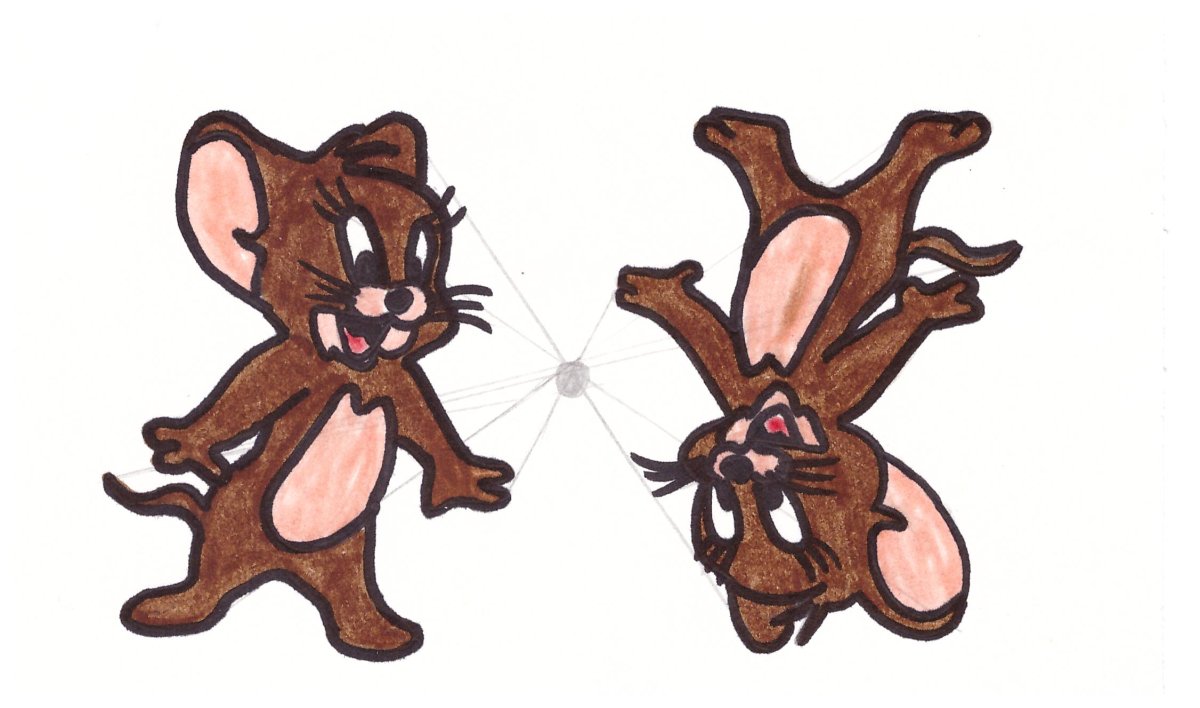 Осевая симметрия бабочка