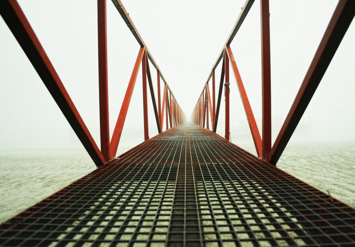 Центральная симметрия Стрекоза