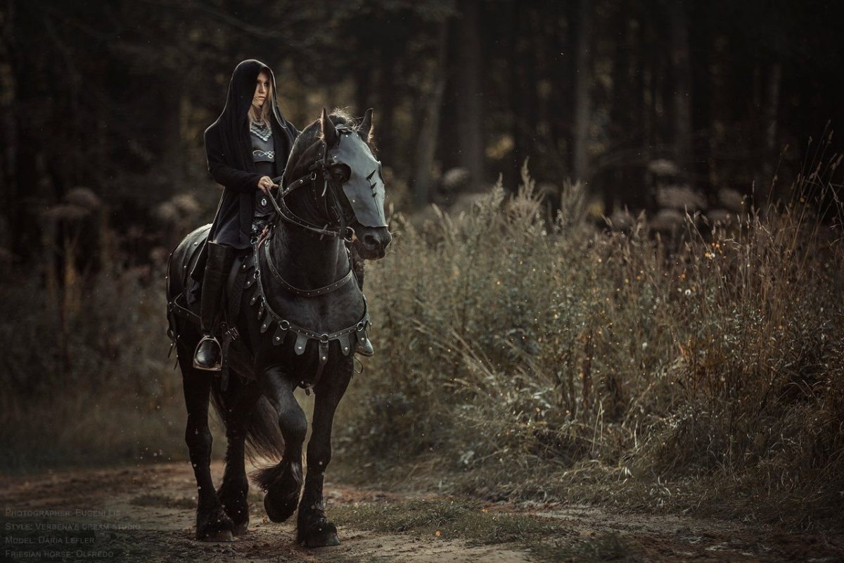 Дарья Лефлер Black Knight