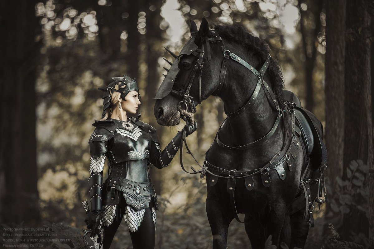 Дарья Лефлер черный рыцарь