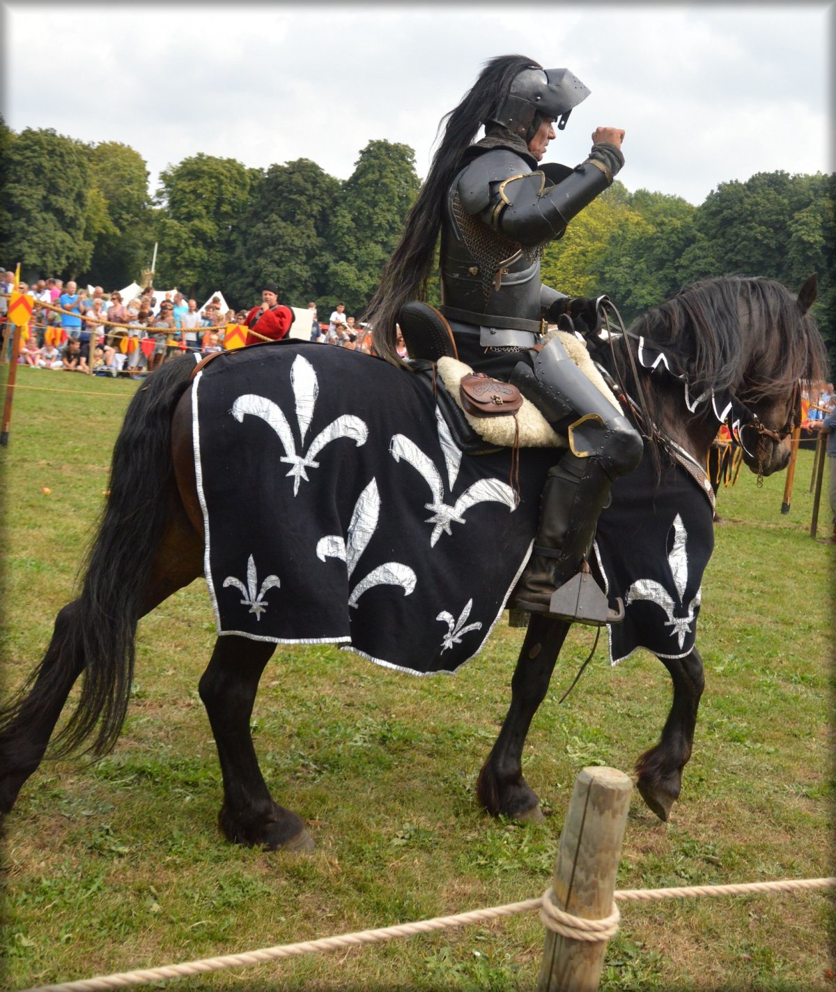 Рыцари на конях