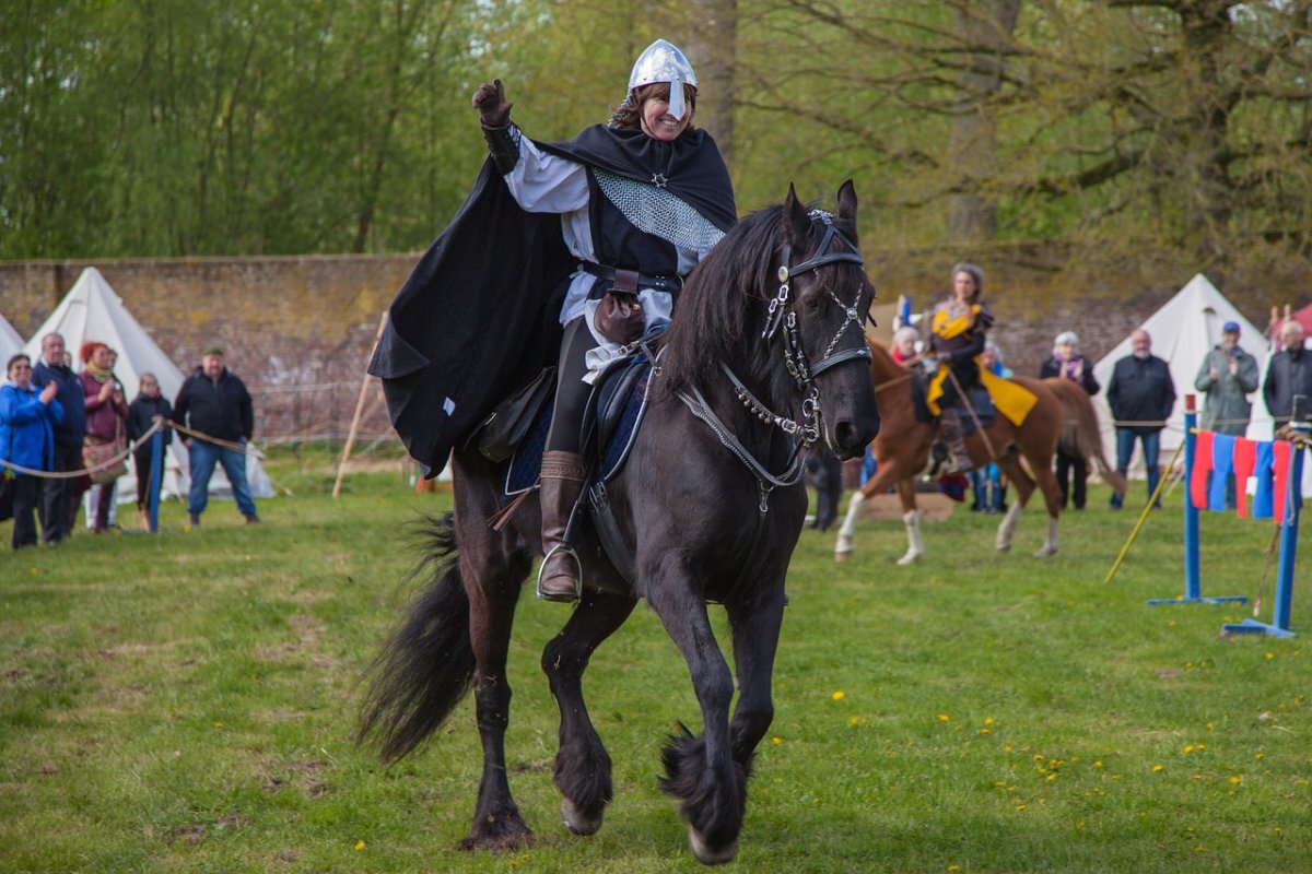 Рыцарь на лошади