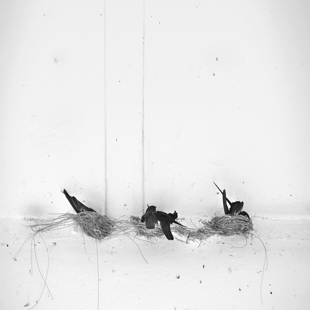 Черно белый арт Минимализм