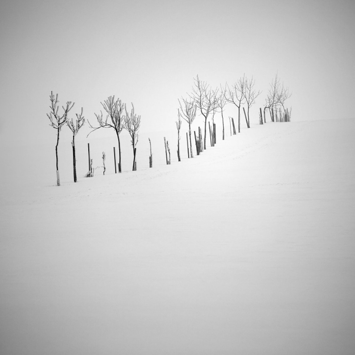 Минималистические зимние пейзажи