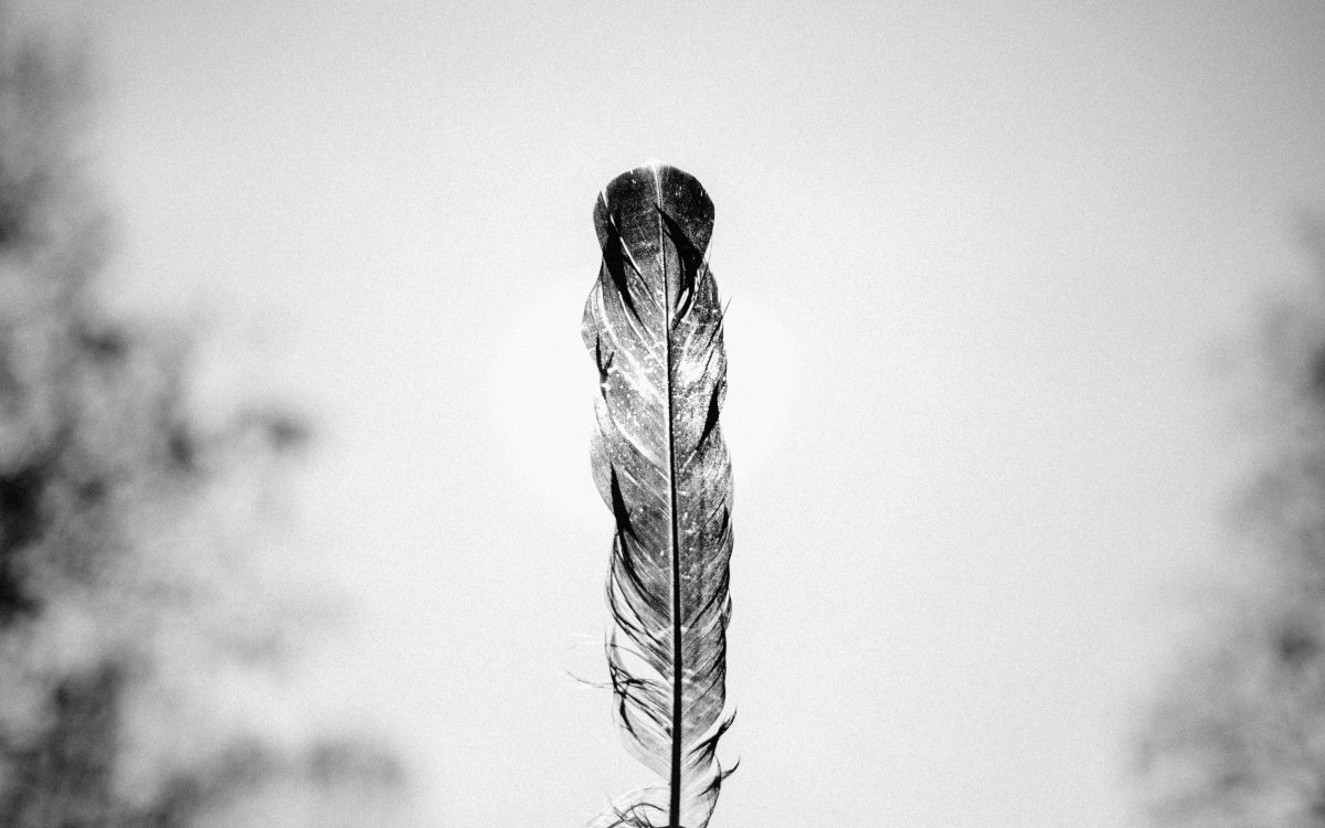 Елка Минимализм