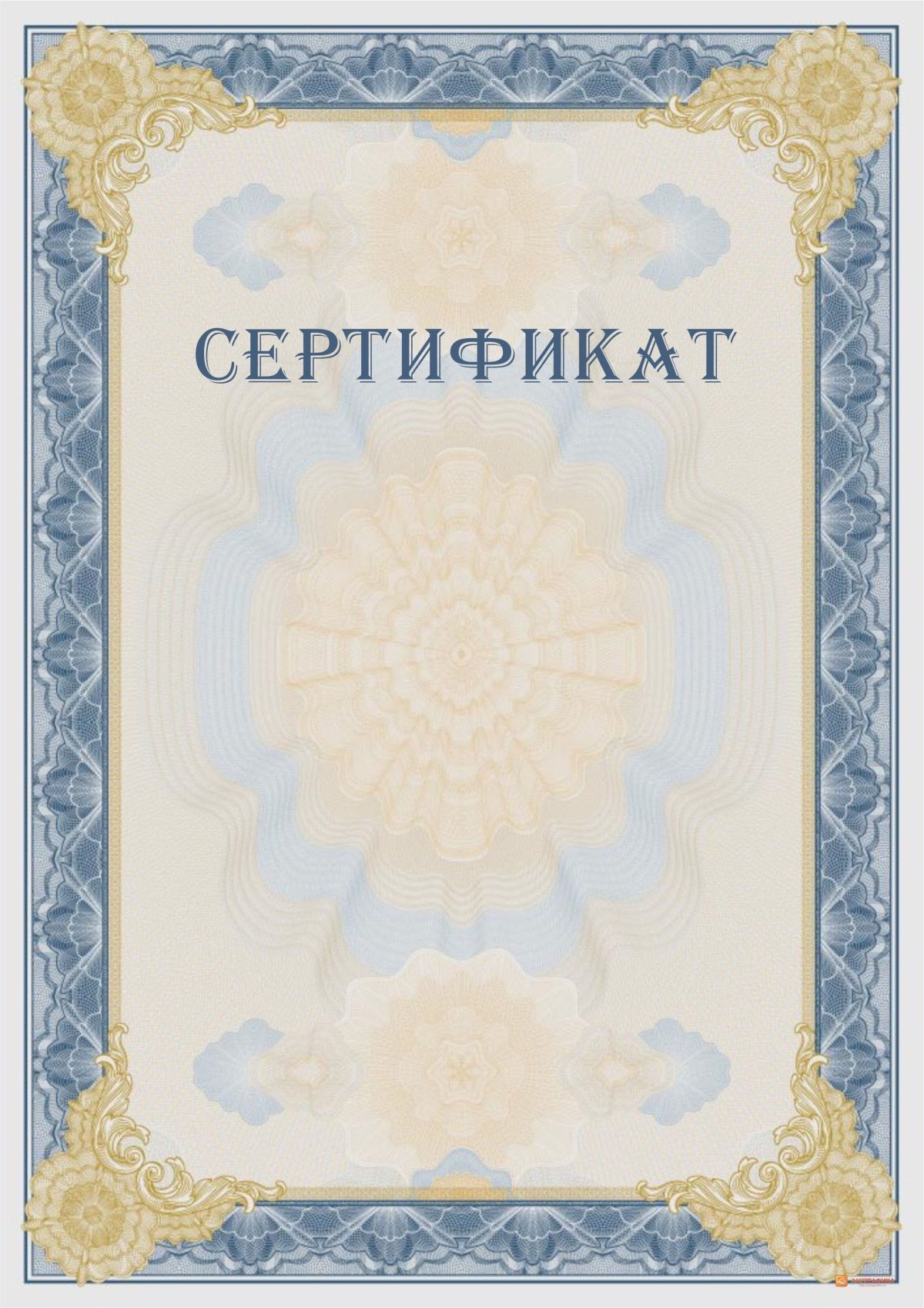 Бланки сертификатов