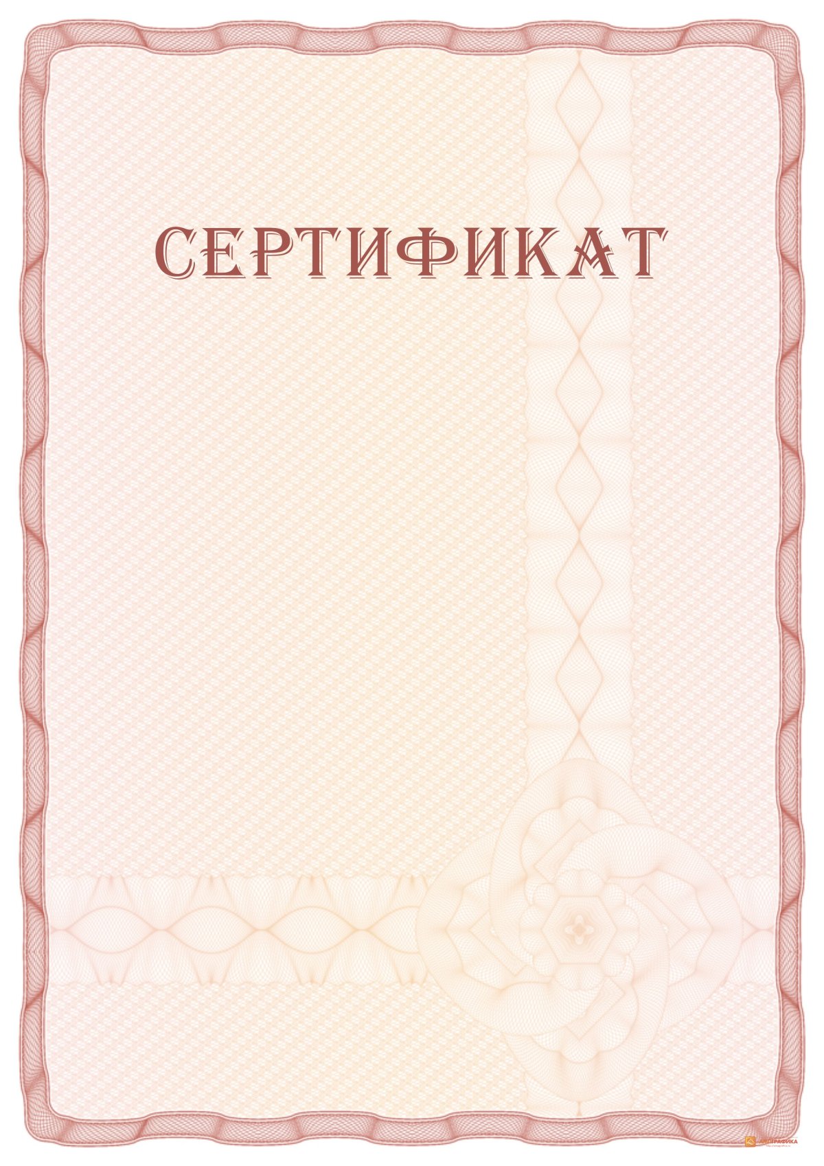 Сертификат пустой