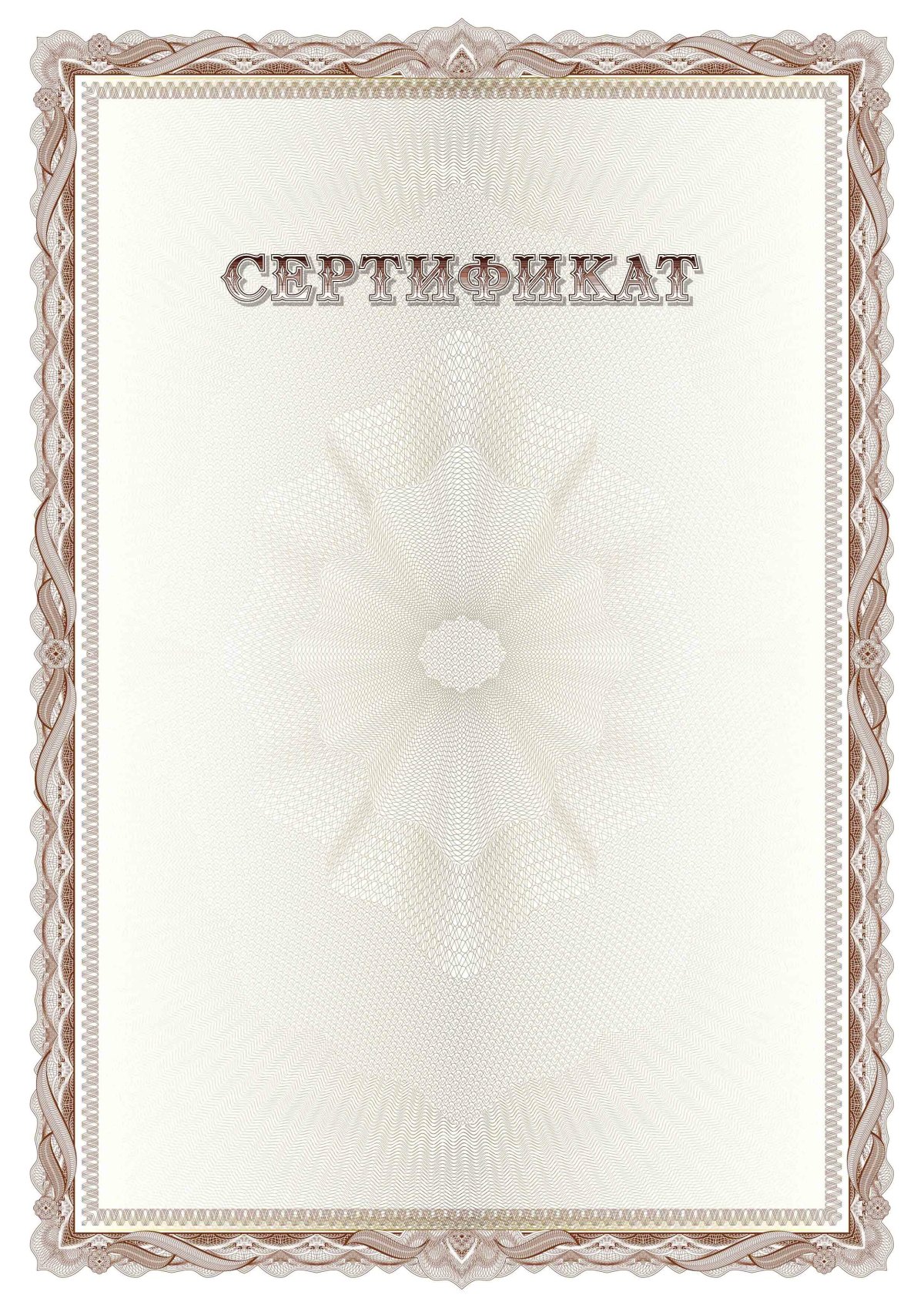 Сертификат шаблон