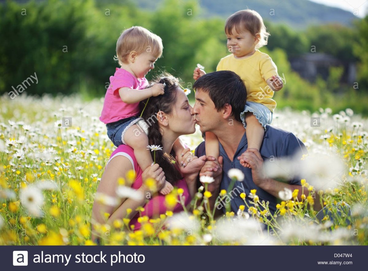 Гармоничная семья