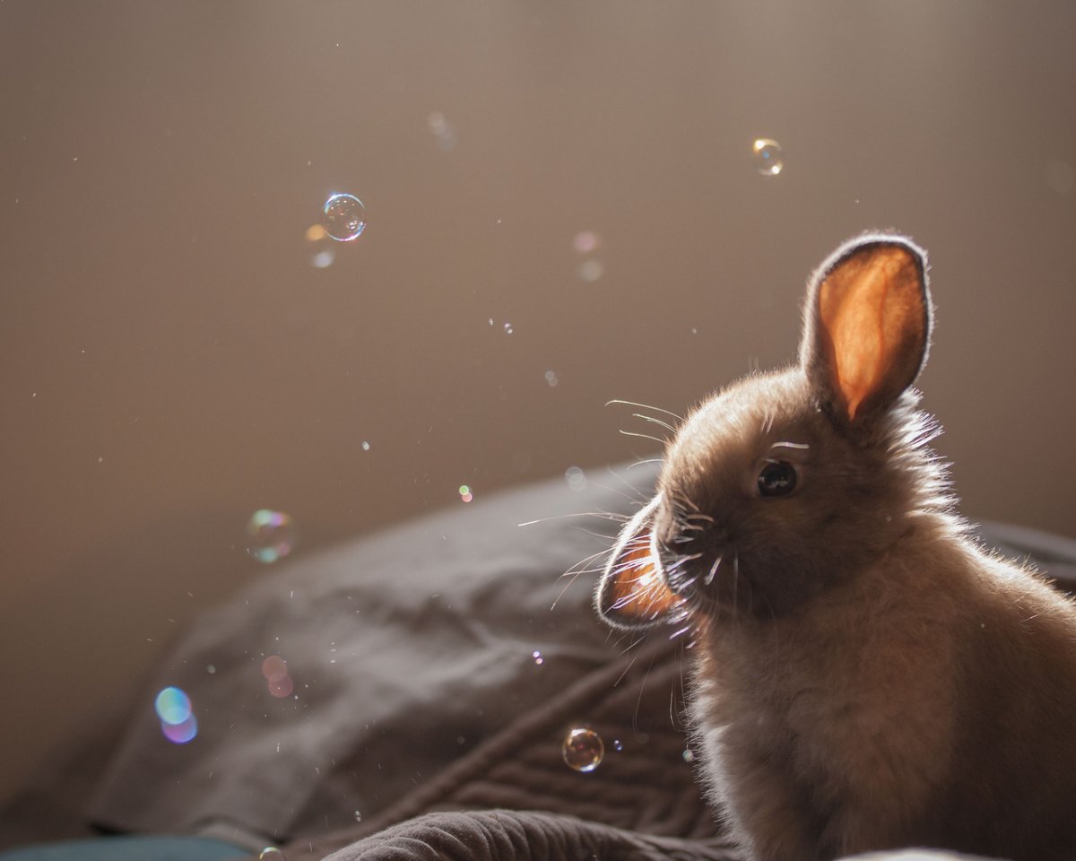 Картинки на рабочий стол милые