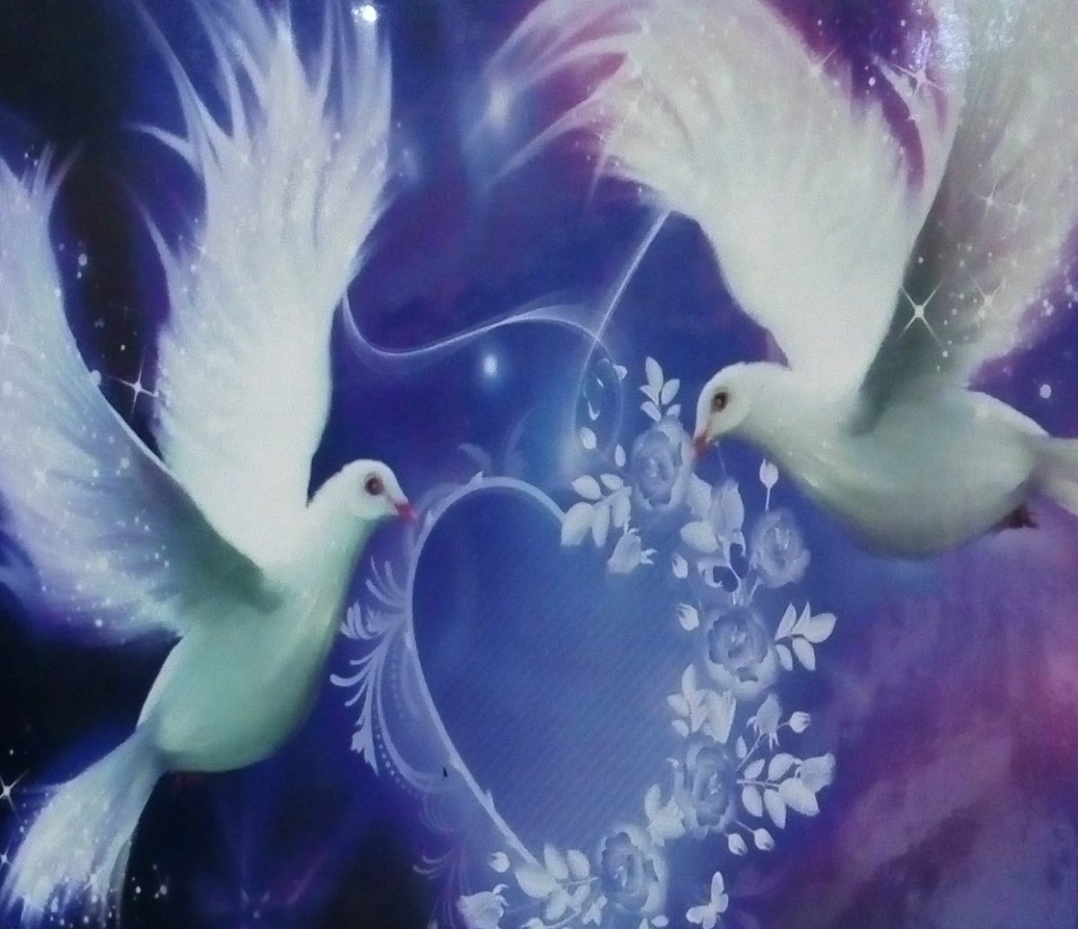 Белые голуби в цветах