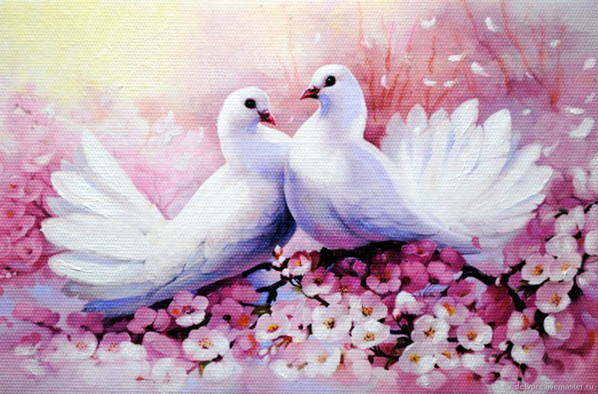 Голубь Павлин белый