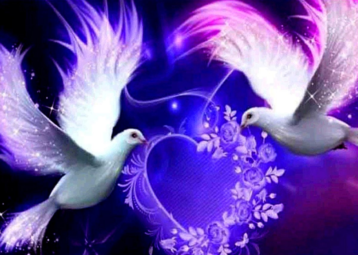 Горлица белая птица