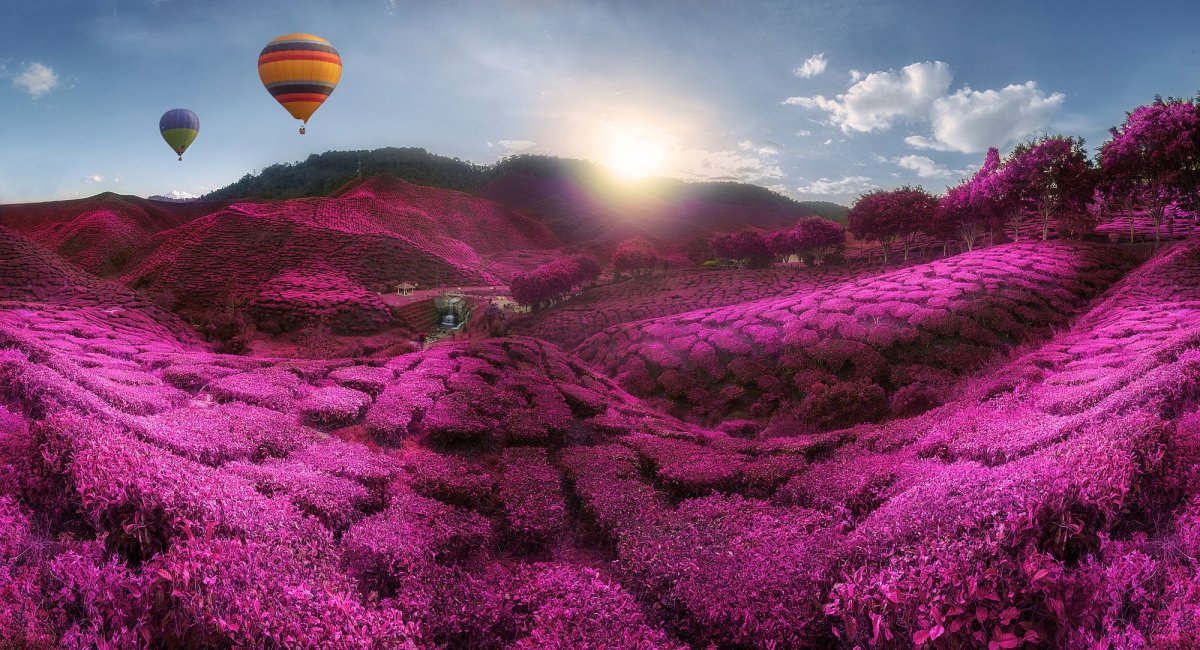 Мечты фото красивые