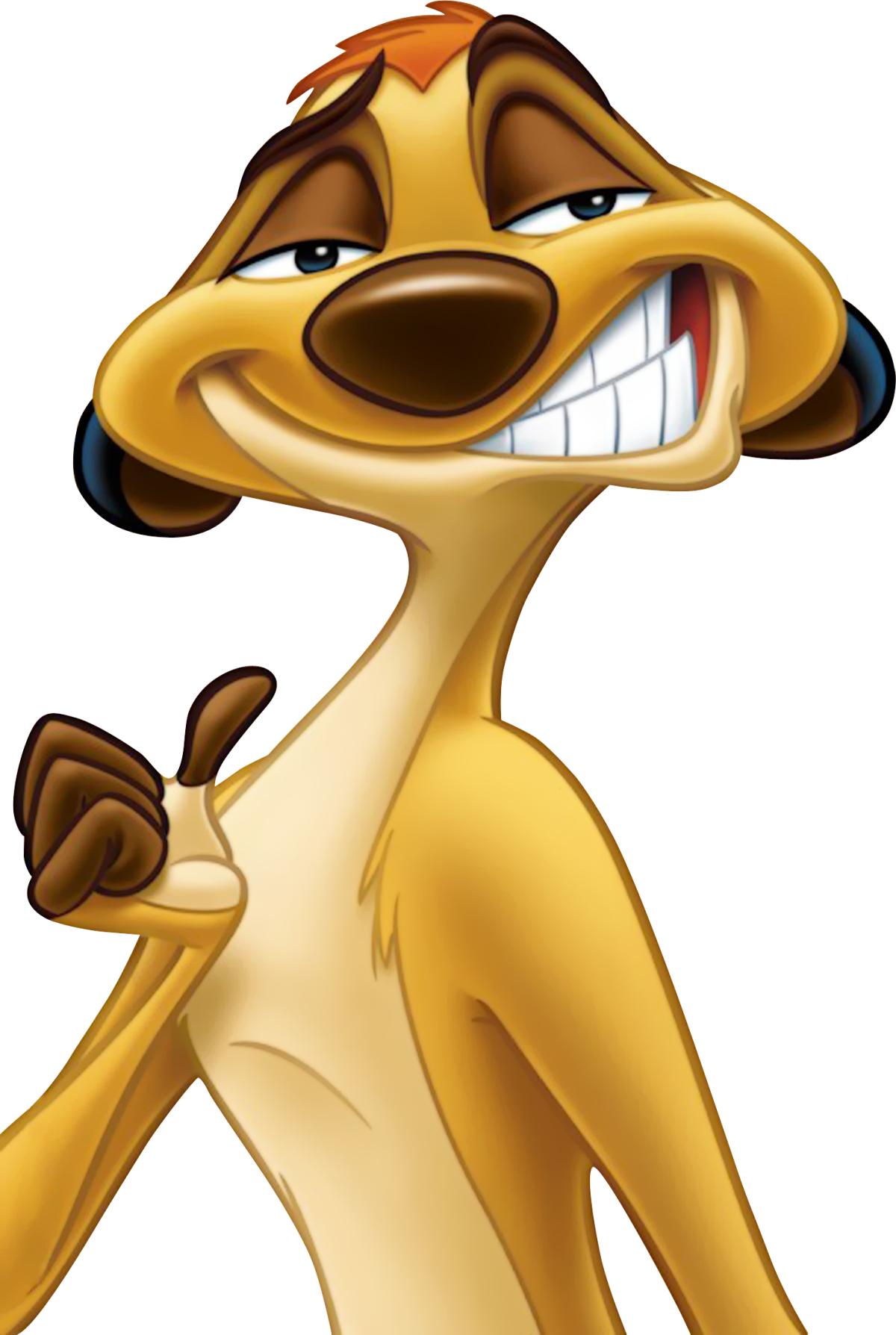 Тимон мультик