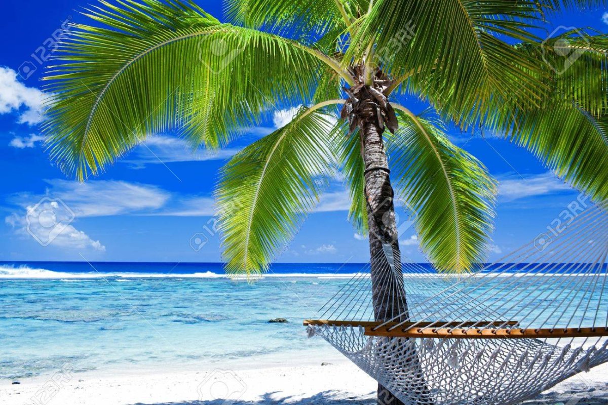 Море пляж пальмы