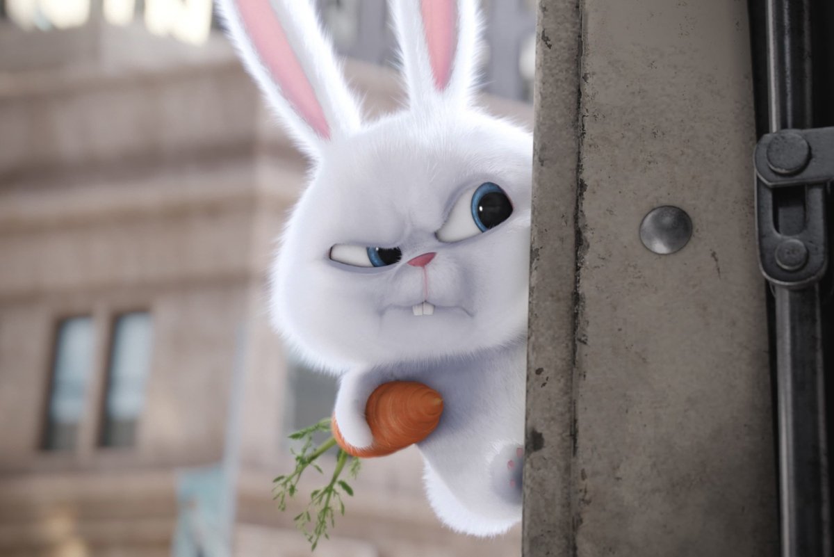 Кролик на аву