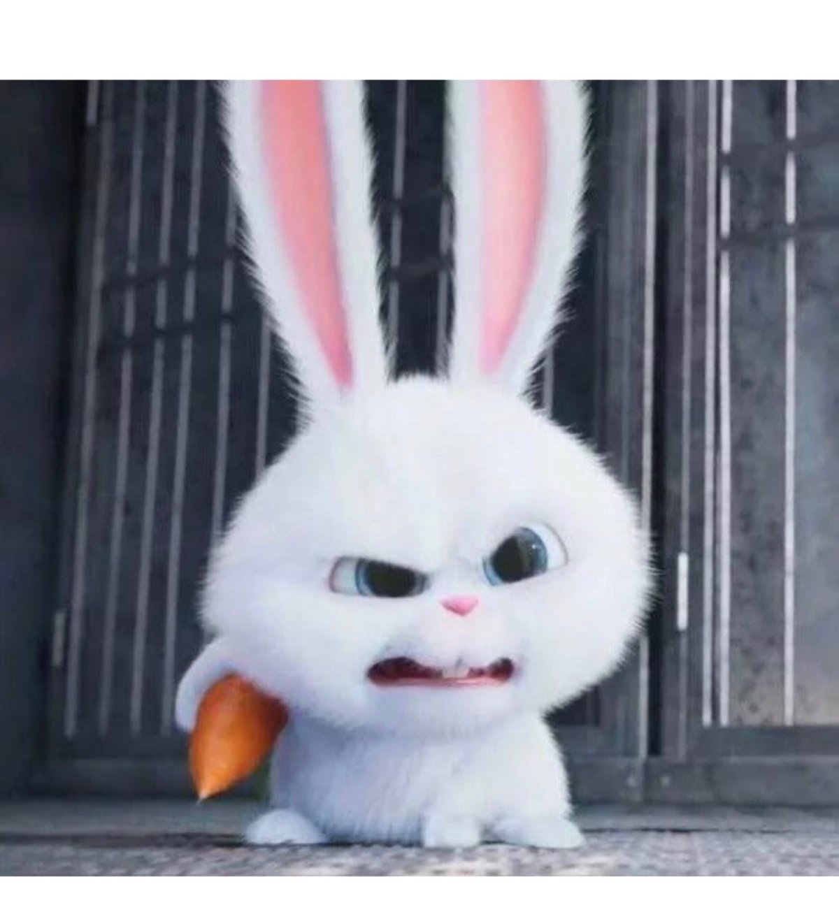 Тайная жизнь домашних животных кролик снежок