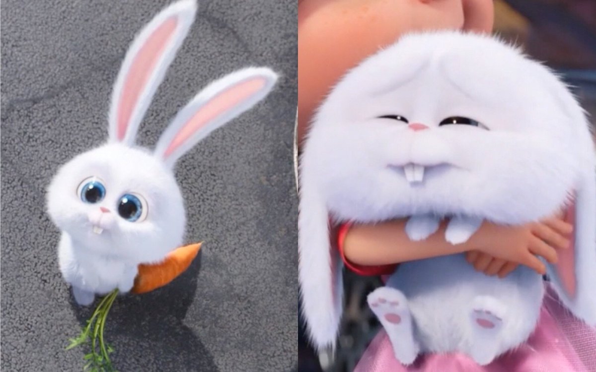 Недовольный зайчик