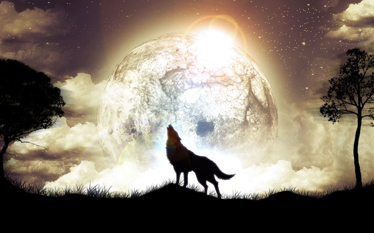 Волк и Луна