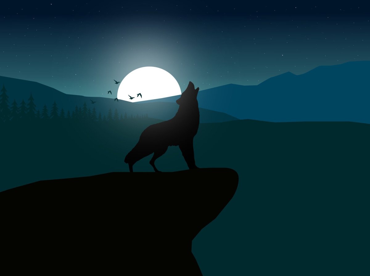 Силуэт волка на фоне