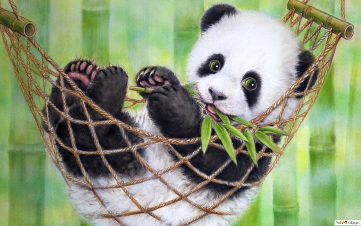 Большая Панда и маленькая Панда 1972