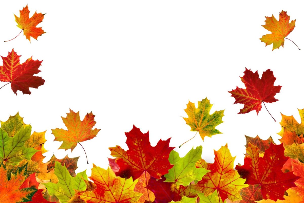 Осенний лист Закаменная