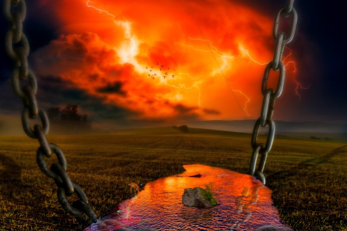 Птица в цепях