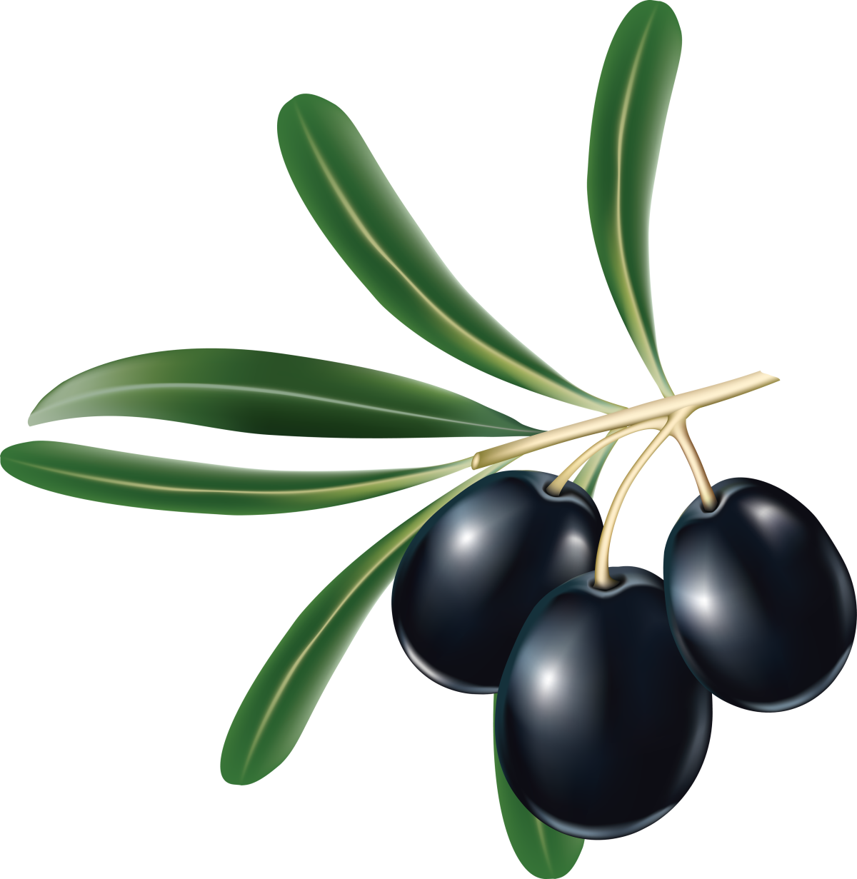 Оливки Каламата Mediterranean