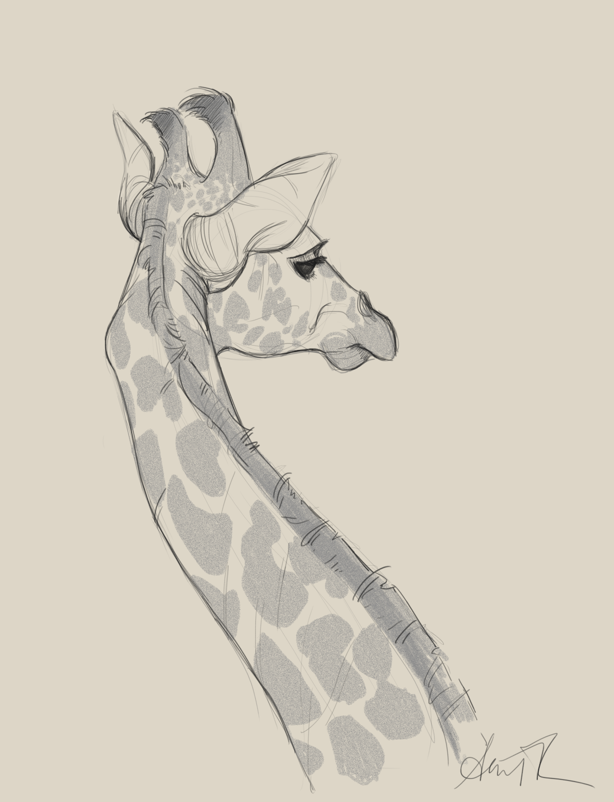 Срисовки жирафа